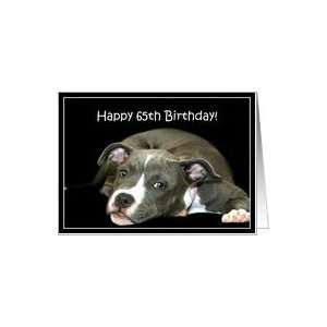 Happy 65th Birthday Pitbull puppy Card Toys & Games