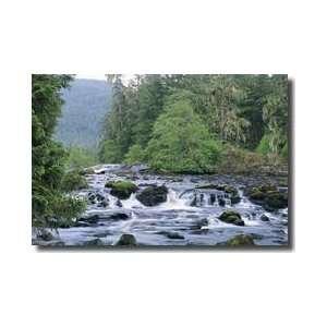  Klawock River Tongass National Forest Alaska Giclee Print 