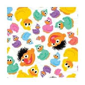  Sesame Street Thermography Paper 12X12 Rubber Ducky; 12 