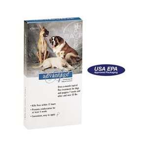  Advantage 39819 Flea Treatment for Dogs 1 10 Pounds 
