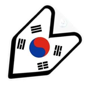  JDM Korea Korean Flag Car Decal Badge: Automotive
