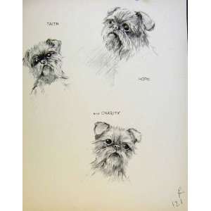   : Faith Hope Charity Pencil Sketch Dog Drawing Print: Home & Kitchen