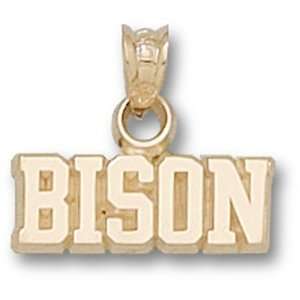   North Dakota State Bison 3/16 Pendant (Gold Plated): Sports