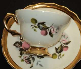 Rosina WILD APPLE BLOSSOM GOLD Tea cup and saucer  