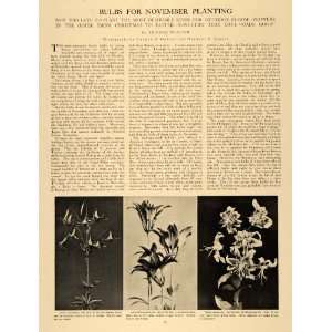   Bulb Planting Thomas McAdam   Original Print Article: Home & Kitchen