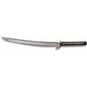   : Cold Steel Knives Warrior Series   Chisa Katana: Sports & Outdoors