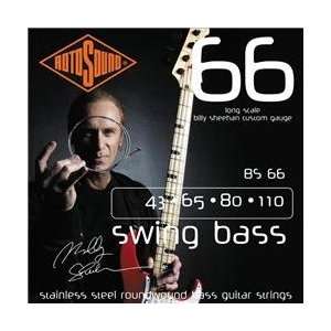   BS66 Billy Sheehan Bass Strings (Standard) Musical Instruments