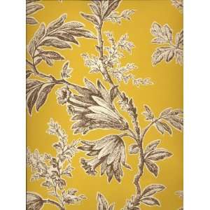   Stroheim and Romanns Color Gallery Amber Plantation II Ivory and Brown