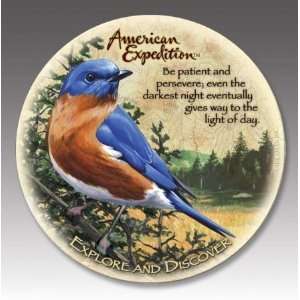   CTST 133 Eastern Bluebird Stone Coaster Set: Kitchen & Dining