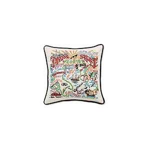  Tampa St Pete Pillow: Home & Kitchen