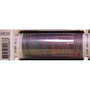 Quilting Metler Silk Finish Multi Thread, 109 yards, Techno Brights