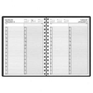   Recycled Two Person Daily Appointment Book AAG7022205: Office Products