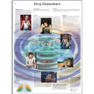  VR3781UU Glossy Paper Drogodependencia Anatomical Chart (Drug 