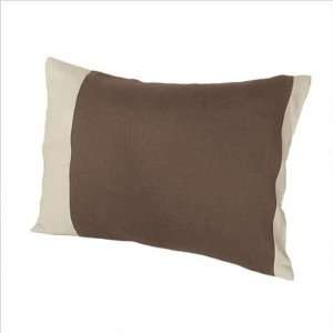    Lounge Pillow Color: Chocolate Brown/Sky Blue: Home & Kitchen
