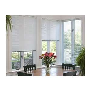  1 Cordless Mini Window Blinds up to 24 x 48