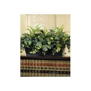  Silk Mixed Chinese Evergreen & Ivy Cubicle