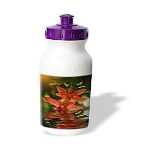  Flower Designs   Christmas Cactus   Water Bottles