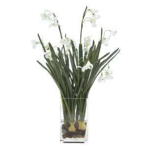  FAB Flowers Snowdrops with Bulbs and River Stones, Clean 