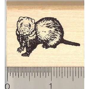  Small Smidgeon Ferret Rubber Stamp: Arts, Crafts 