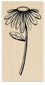 Stampabilities now offers this beautiful sketched flower to brighten 