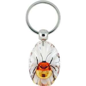  Amber / Clear Acrylic Beetle Key Ring: Everything Else