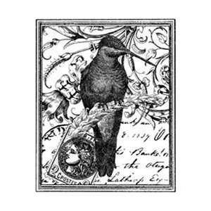  Cling Stamps Hummingbird Collage; 2 Items/Order Arts, Crafts & Sewing
