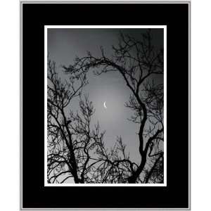 Silvermoon by Stephen Rutherford Bate   Framed Artwork  