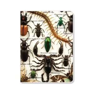  ECOeverywhere Bug Medley Sketchbook, 160 Pages, 5.625 x 7 
