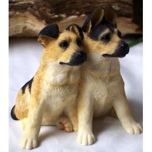  Sherratt & Simpson   German Shepherd Pups CLOSEOUT 