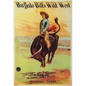  1976 Print Buffalo Bill Wild West Vaquero Bucking Steer 