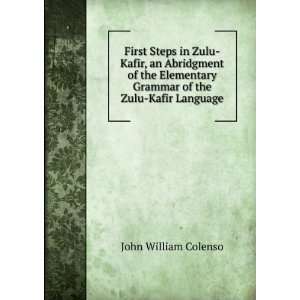   elementary grammar of the Zulu language John William Colenso Books