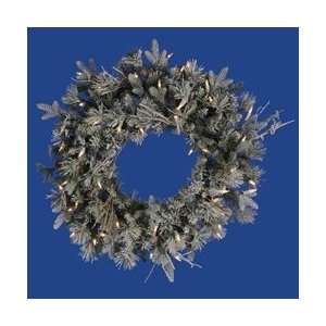    24 Frst Wistler Fir Wreath 45LED WmWht Arts, Crafts & Sewing