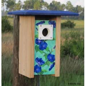    Bluebird Convertible Bird House Morning Glory
