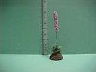 Poppies Plant in Dirt Mound 410  Dollhouse Miniature items in Ds 