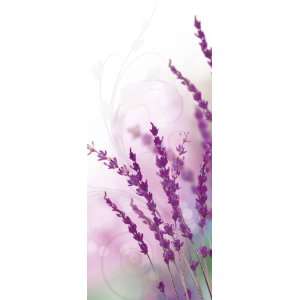 Deco Home   Decorative Room Divider, Lavender Dream, 3 Feet 3 Inch by 