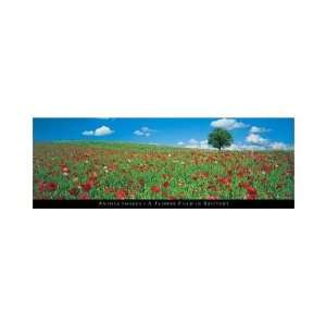  Flower Field In Brittany Poster Print
