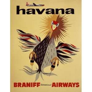  Braniff International Airways / Havana Arts, Crafts 