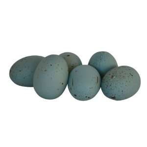  Robin Egg Blue Faux Decorative Bird Eggs: Home & Kitchen
