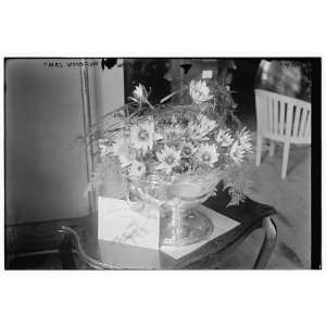  Mrs. Woodrow Wilson    flower arrangement