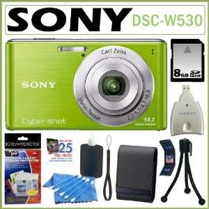  Sony Cyber Shot DSC W530 14.1 MP Digital Still Camera with 