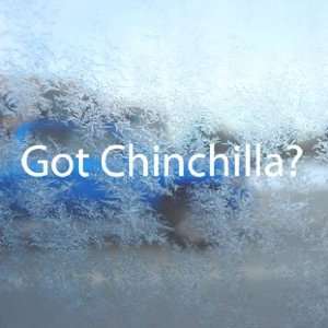  Got Chinchilla? White Decal Small Animal House Pet White 