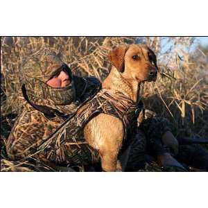  Avery Standard Hunting Dog Parka