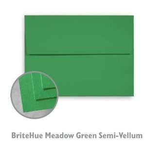  BriteHue Meadow Green Envelope   1000/Carton Office 
