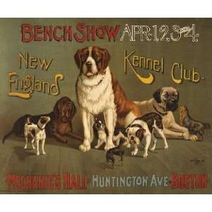  DOG Show, Boston, New England Kennel Club St. Bernard 