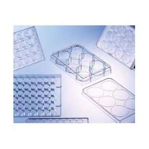  Sterile 96 Well Cell Culture Plate (One Unit) Industrial 