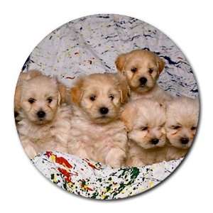   puppy litter Round Mousepad Mouse Pad Great Gift Idea: Office Products