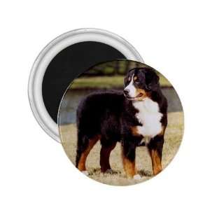  Bernese Mountain Dog Refrigerator Magnet: Home & Kitchen
