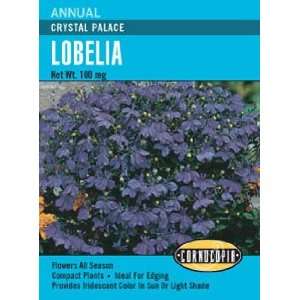  Lobelia Crystal Palace Seeds: Patio, Lawn & Garden