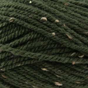  Plymouth Yarn Encore Chunky Tweed [Dark Green]: Arts 