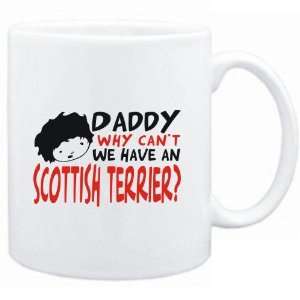   Mug White  BEWARE OF THE Scottish Terrier  Dogs: Sports & Outdoors